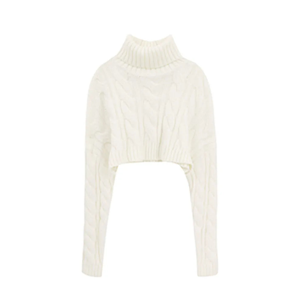 Elegant Turtleneck Winter Sweater For Women Thick Warm Knitted Pullover With Crochet Texture Slim Loose Fit Jersey Knit Jumper