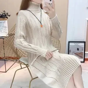 Women Turtleneck Thick Knitted Sweaters