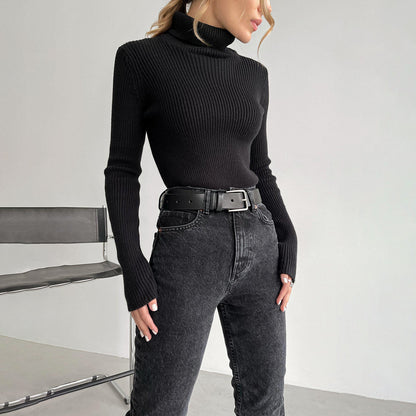 Womens Slim Fit Turtleneck Tight Sweater
