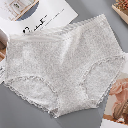Antibacterial Lace High-Waist Panties – Cotton Briefs with Tummy Coverage, Seamless Fit & Everyday Comfort