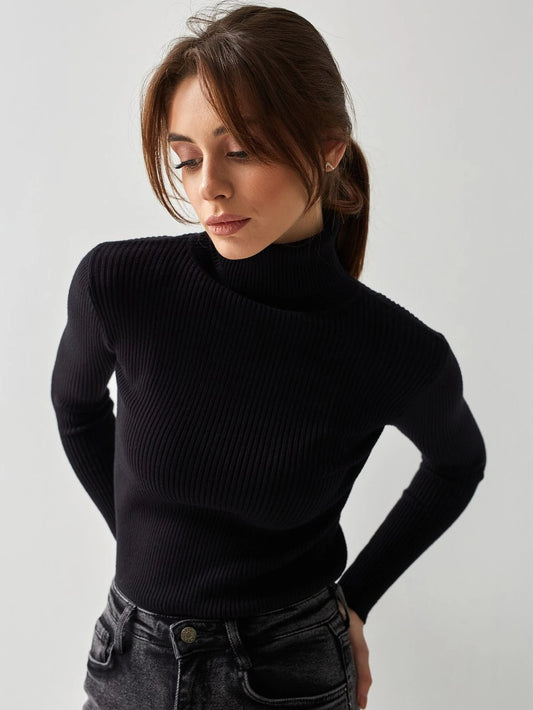 Elegant High Collar Solid Color Sweater – Minimalist Style, Regular Sleeve Pullover for Women