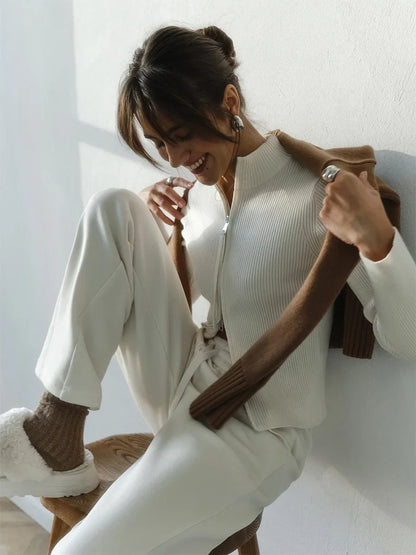 Slim-Fit Stand Collar Cardigan – Double Zipper Knit Sweater