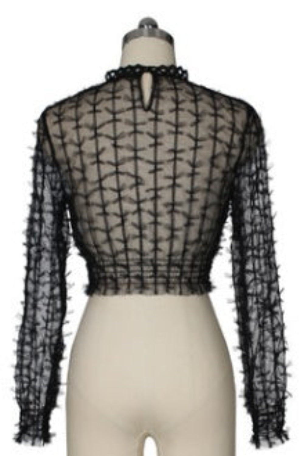 Black sheer long-sleeve top on a mannequin against a white background