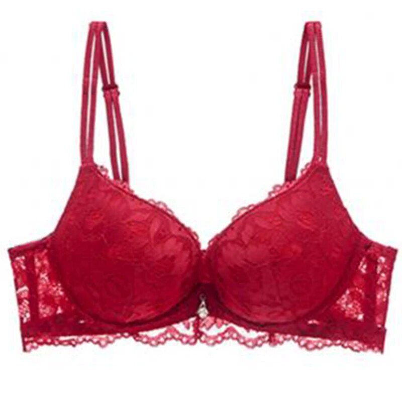 Lace Embroidered Push-Up Bra: Sexy Deep V Style