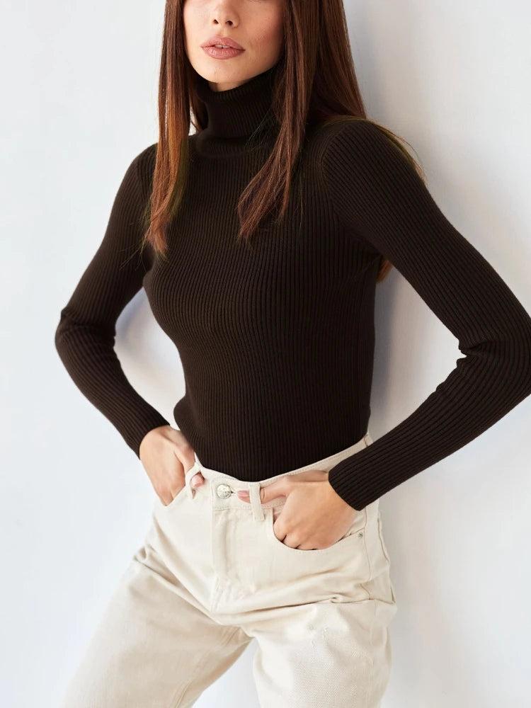 2025 Autumn Winter Women S Thick Ribbed Knitted Turtleneck Sweater Slim Fit Long Sleeve Pullover Soft Warm
