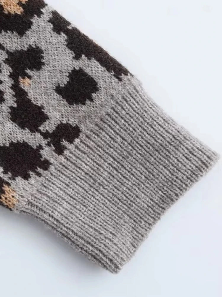 V Leopard Design Long Sleeve Women Winter Pullovers