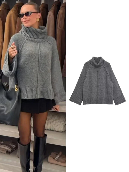 Casual Daily Winter Clothing Turtleneck Women Sweaters