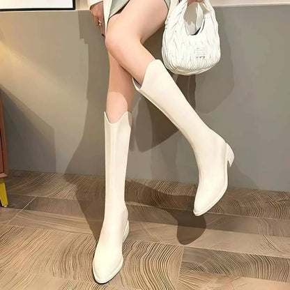 Women’s Knee-High Western Boots 2025 – Pointed Toe Zipper Chunky Heel Fall/Winter Fashion