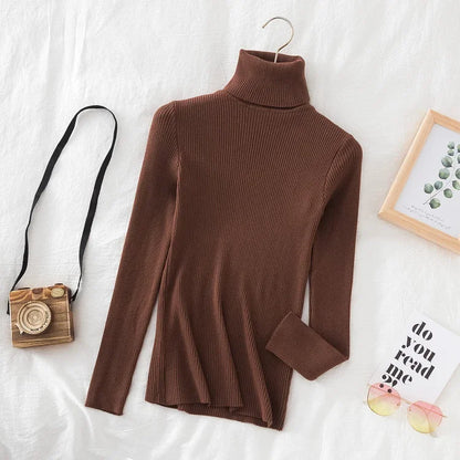 Timeless Basic: Solid Cashmere-Blend Turtleneck Jumper