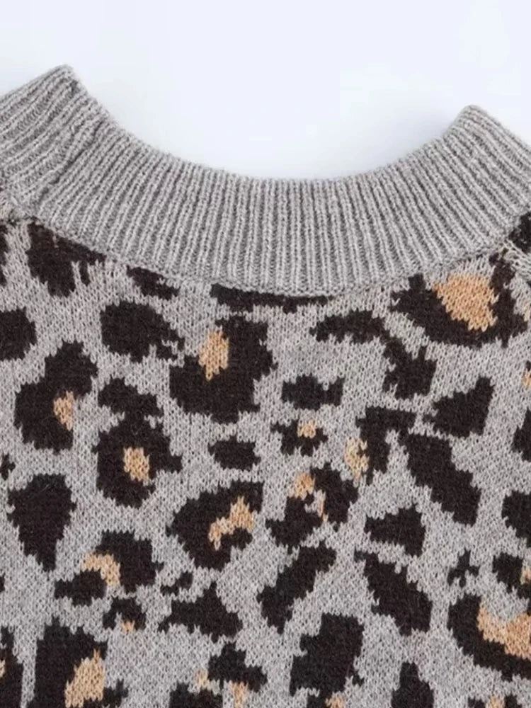 V Leopard Design Long Sleeve Women Winter Pullovers
