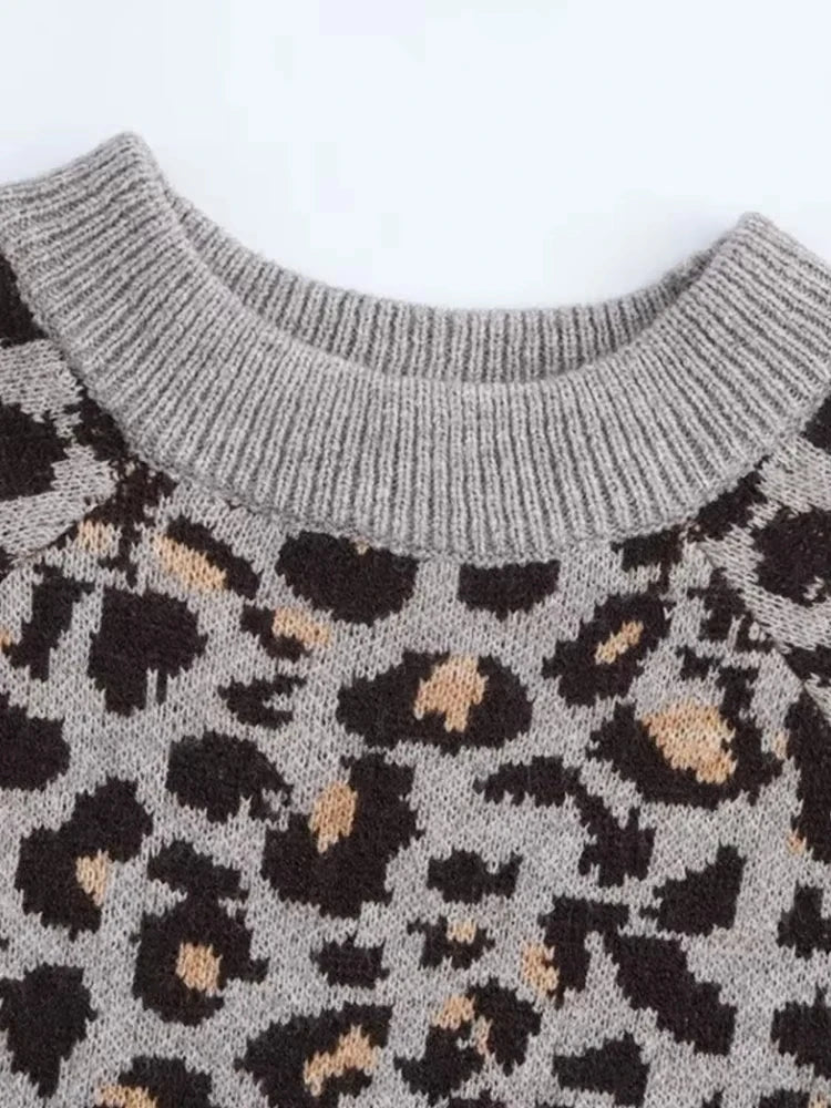 V Leopard Design Long Sleeve Women Winter Pullovers