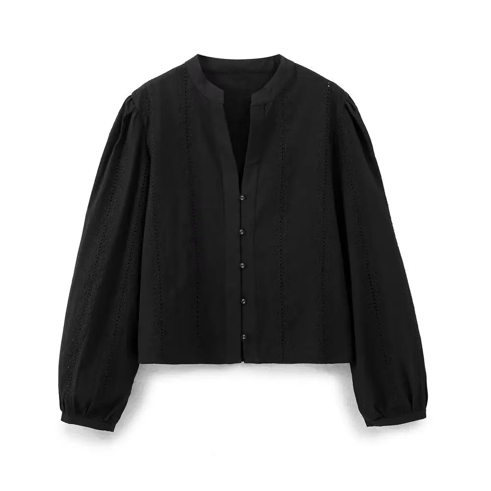 Embroidered V Neck Blouse Modern Fitted Shirt For Women