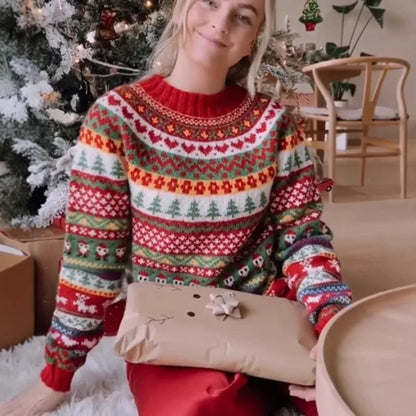 Women Casual Thick Winter Sweaters