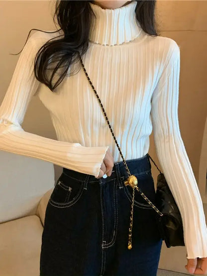 Womens Regular Style Black White Turtleneck Winter Sweaters