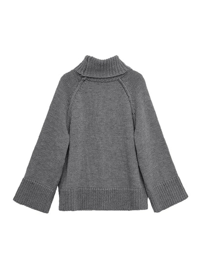Casual Daily Winter Clothing Turtleneck Women Sweaters