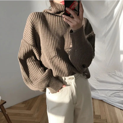 Autumn Winter Elegant Contrast Turtleneck Sweater Womens Loose Fit Long Sleeve Knitted Pullover Top
