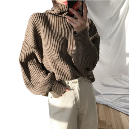 Autumn Winter Elegant Contrast Turtleneck Sweater Womens Loose Fit Long Sleeve Knitted Pullover Top