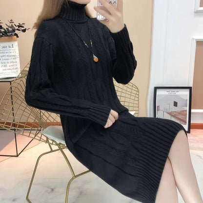 Women Turtleneck Thick Knitted Sweaters