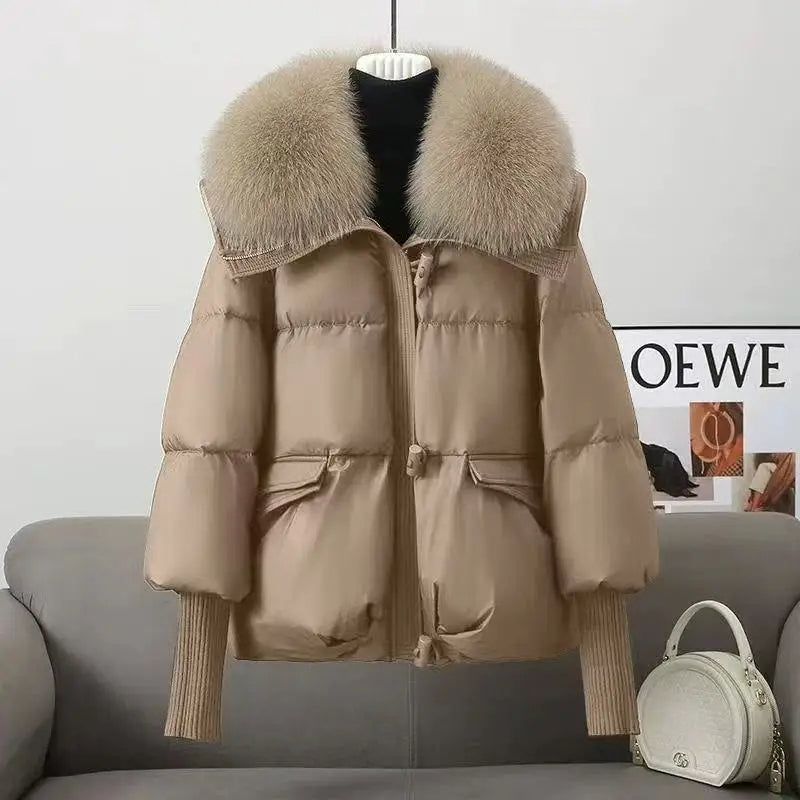 New Winter Down cotton Short Padded Fur Collar Puffer Jackets for Women