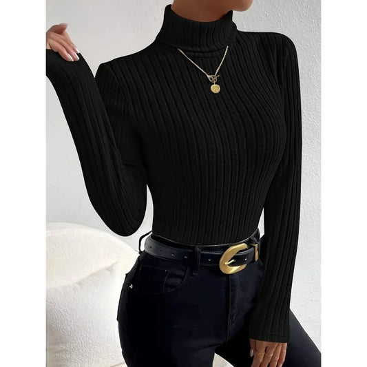 Loose Fit Plus Size Turtleneck Knit Sweater