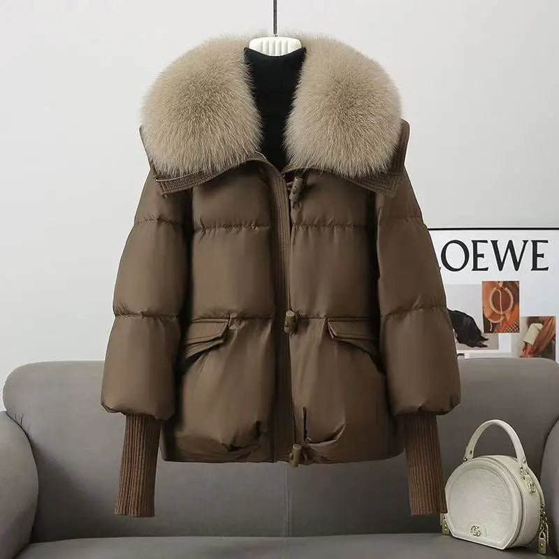 New Winter Down cotton Short Padded Fur Collar Puffer Jackets for Women