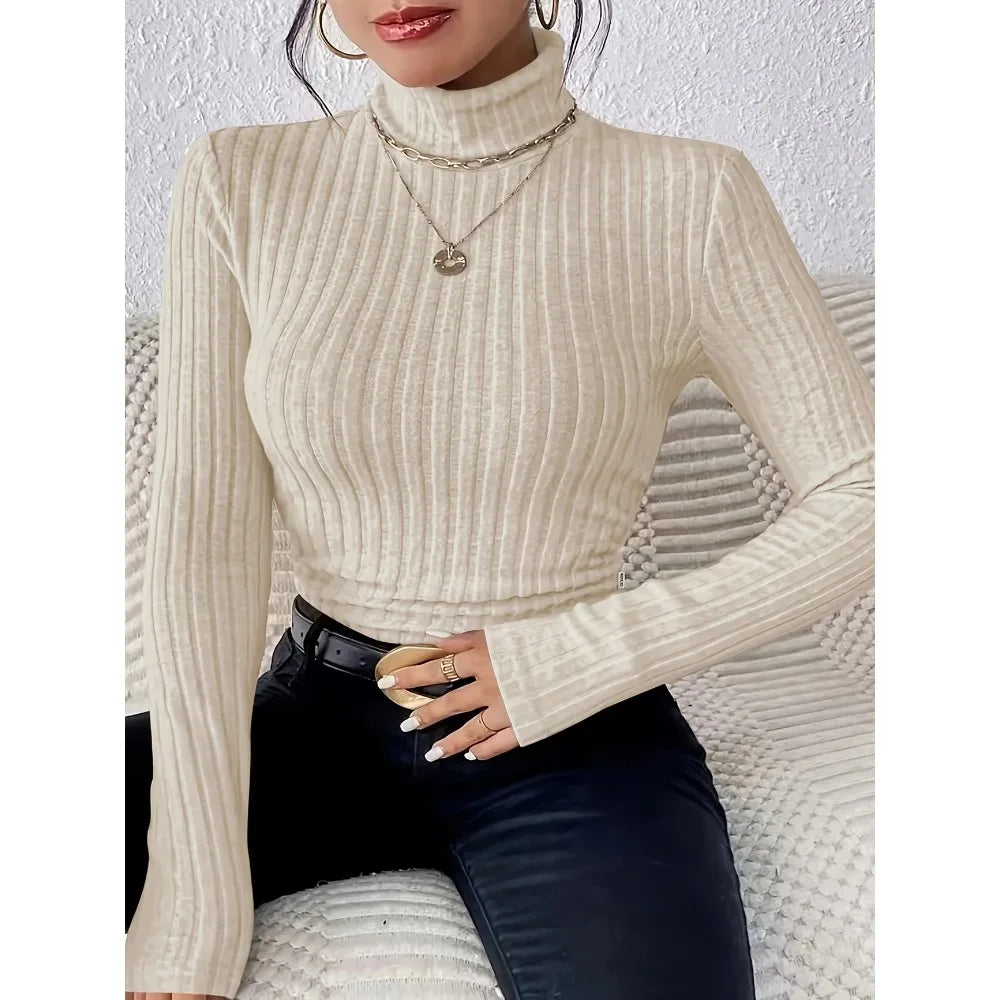Loose Fit Plus Size Turtleneck Knit Sweater