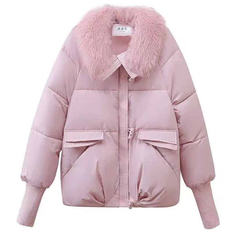 New Winter Down cotton Short Padded Fur Collar Puffer Jackets for Women