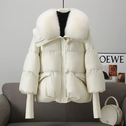 New Winter Down cotton Short Padded Fur Collar Puffer Jackets for Women