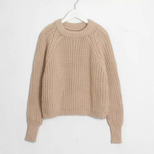 Women Casual Thick Winter Sweaters